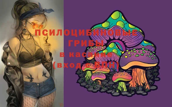 дмт Балахна
