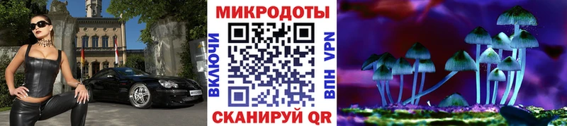 Псилоцибиновые грибы Magic Shrooms  купить наркотик  kraken как зайти  Котельниково 